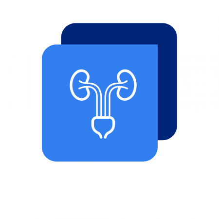 Urologia